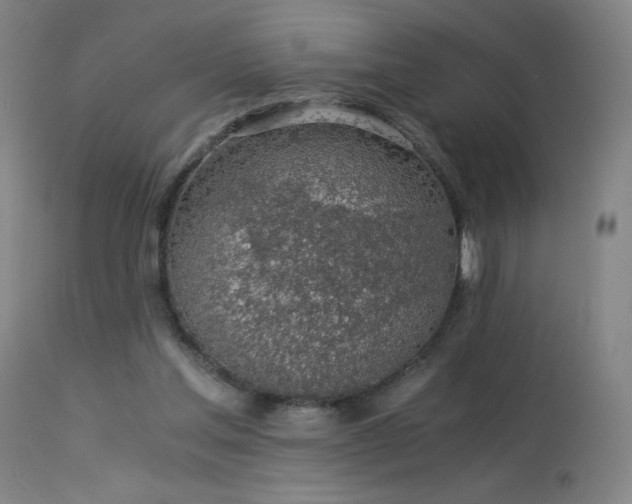X0000114170205200910081530