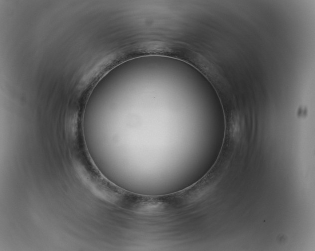 X0000114170206200910081530