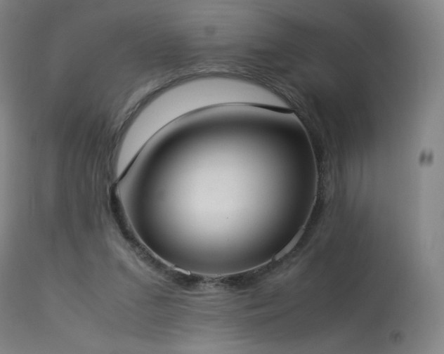 X0000114170207200910081530