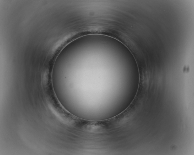 X0000114170208200910081530