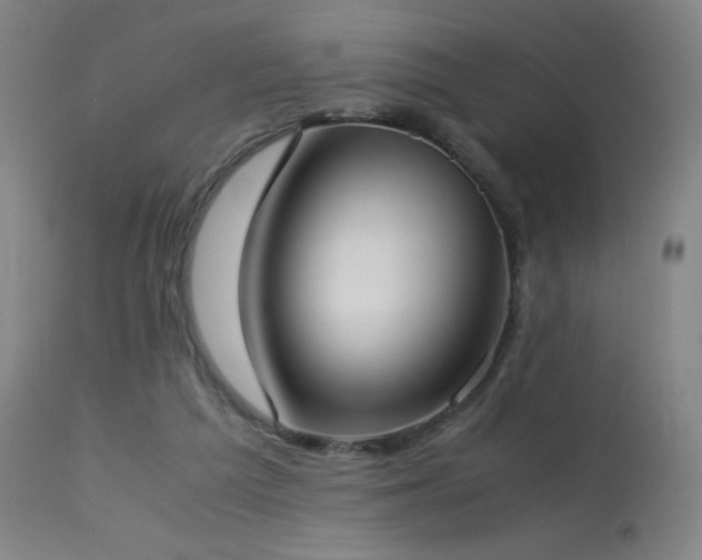 X0000114170209200910081530