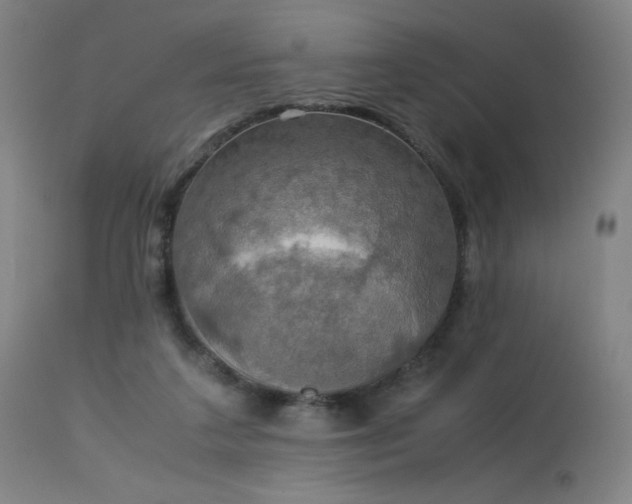 X0000114170211200910081530