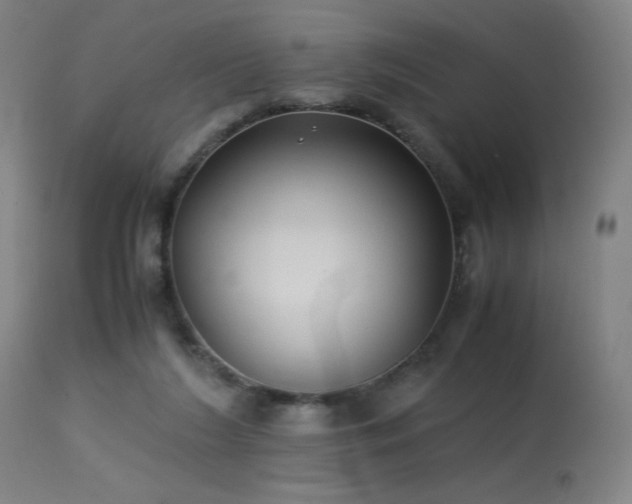 X0000114170212200910081530