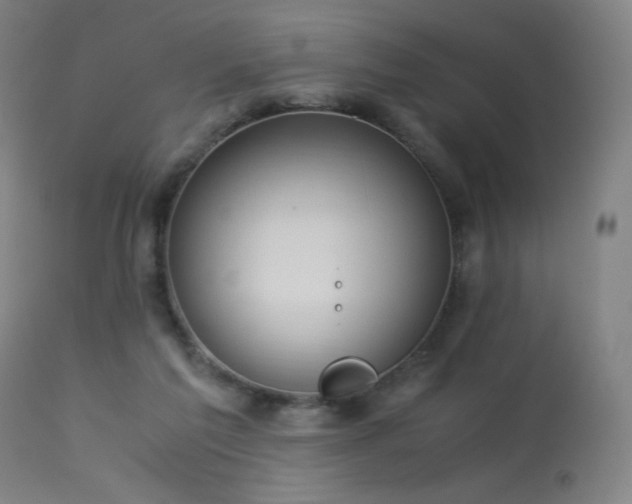 X0000114170213200910081530