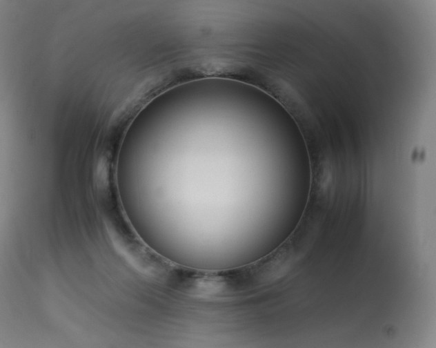 X0000114170214200910081530