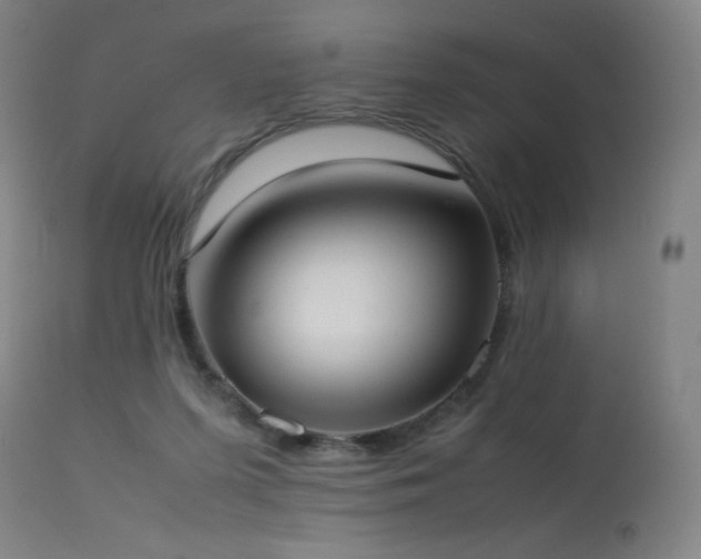 X0000114170215200910081530