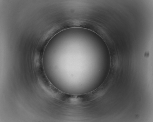 X0000114170216200910081530
