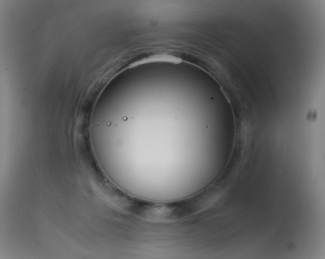 X0000114170217200910081530