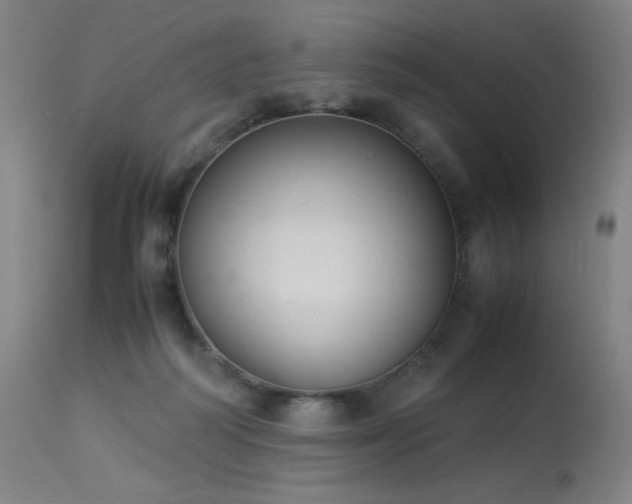 X0000114170218200910081530