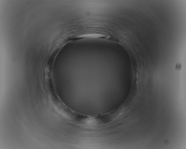 X0000114170219200910081530