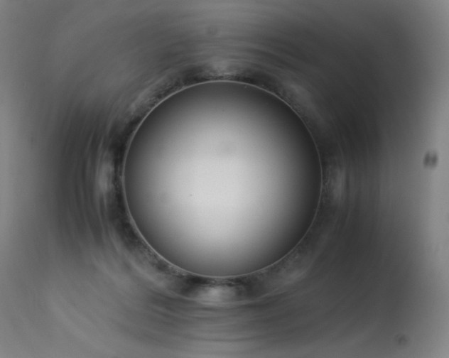 X0000114170220200910081530