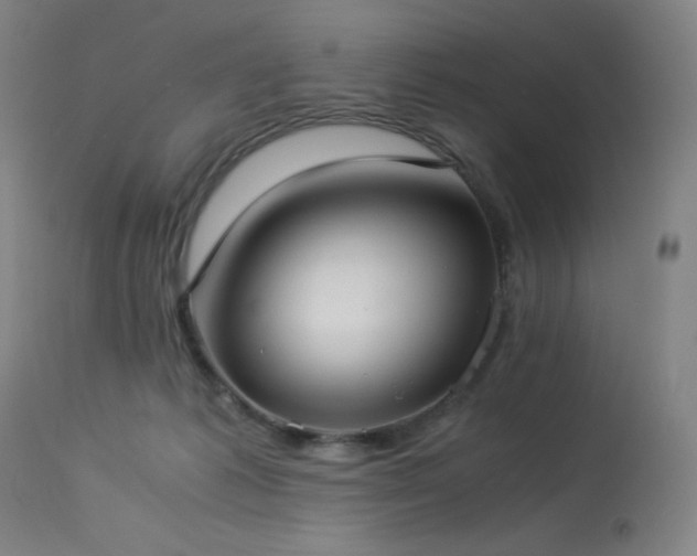 X0000114170221200910081530