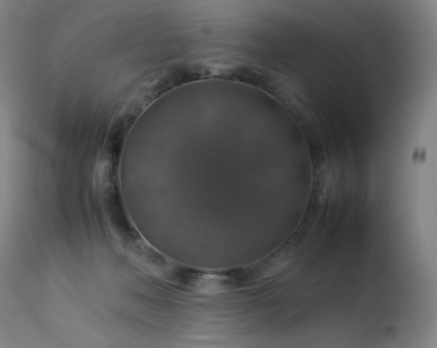 X0000114170222200910081530