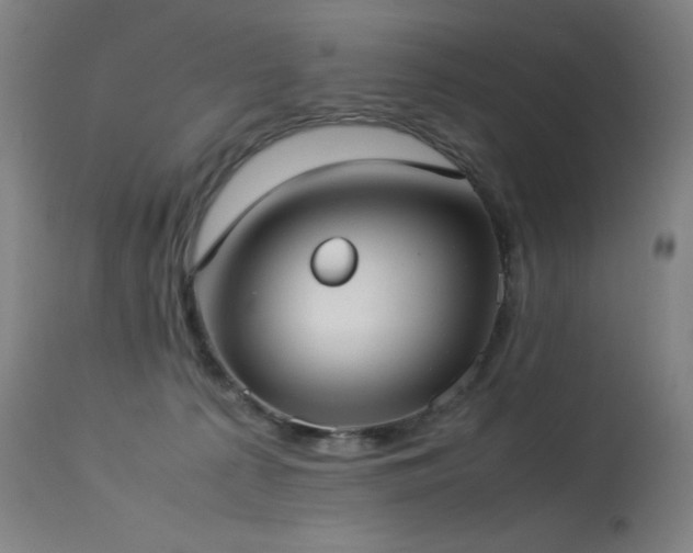 X0000114170225200910081530