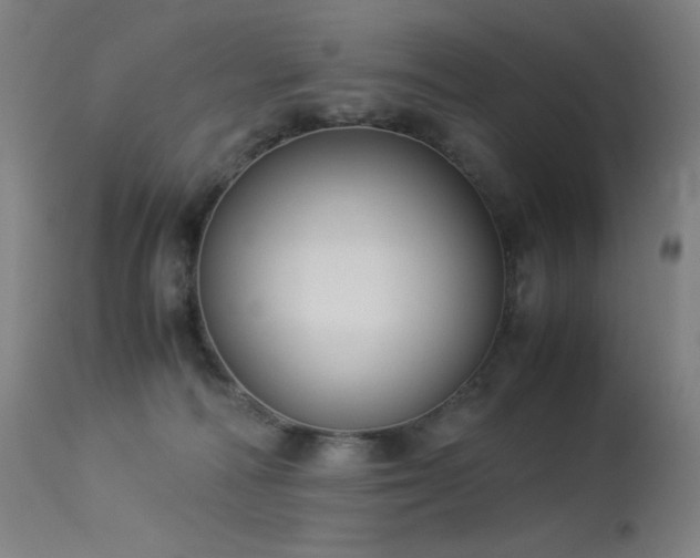 X0000114170226200910081530