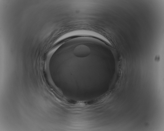 X0000114170227200910081530