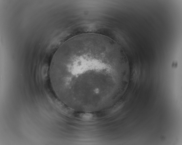 X0000114170230200910081530