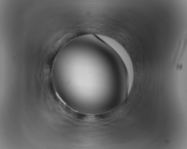 X0000114170231200910081530