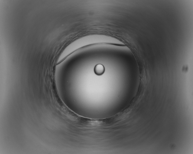 X0000114170233200910081530