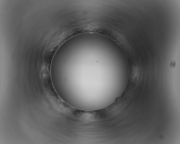X0000114170236200910081530