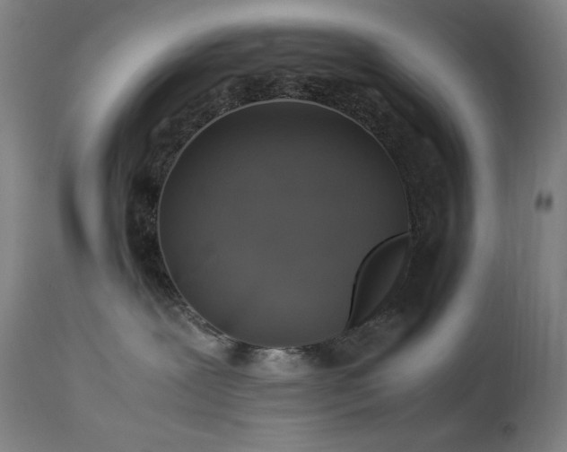 X0000114170239200910081530