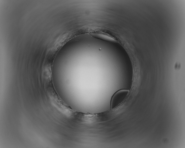 X0000114170240200910081530
