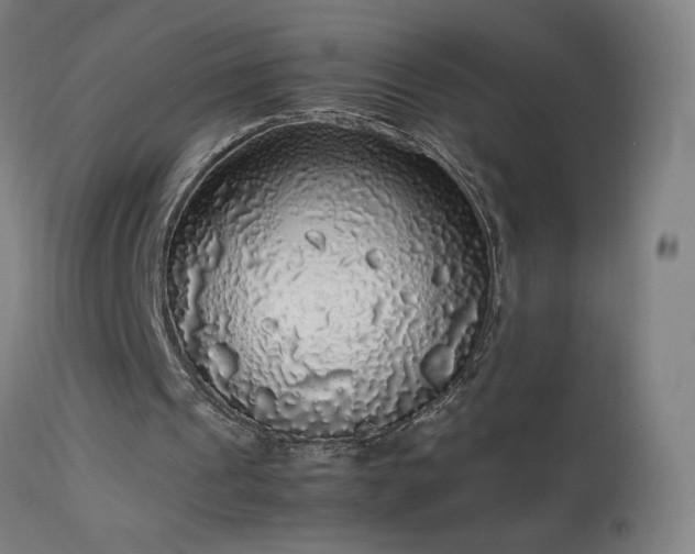 X0000114170241200910081529