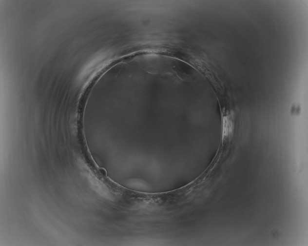 X0000114170243200910081529