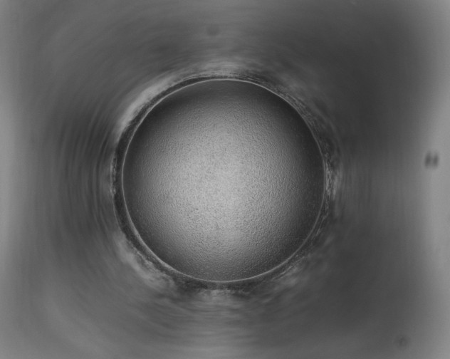 X0000114170244200910081529
