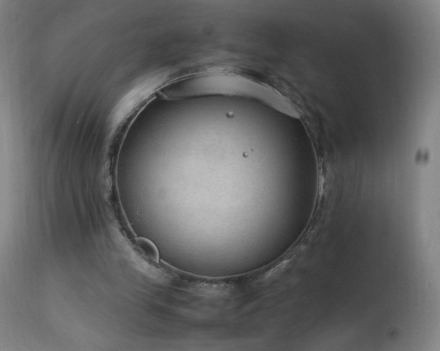 X0000114170245200910081529