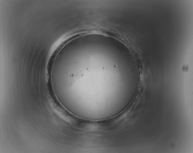 X0000114170246200910081529