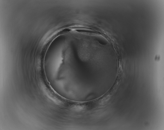 X0000114170247200910081529