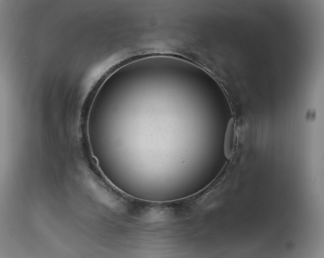 X0000114170248200910081529