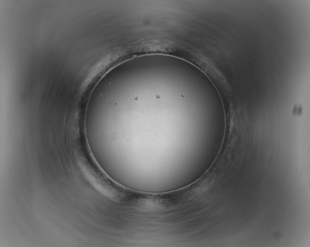 X0000114170250200910081529