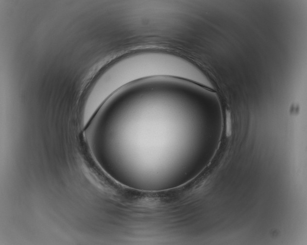 X0000114170252200910081529