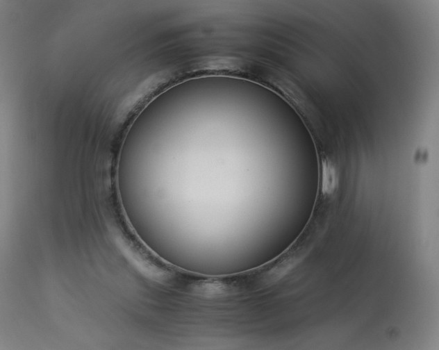 X0000114170253200910081529