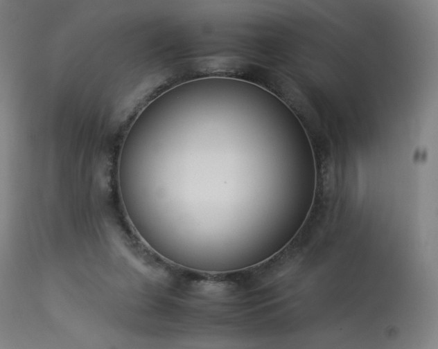 X0000114170255200910081529