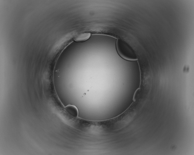 X0000114170256200910081529