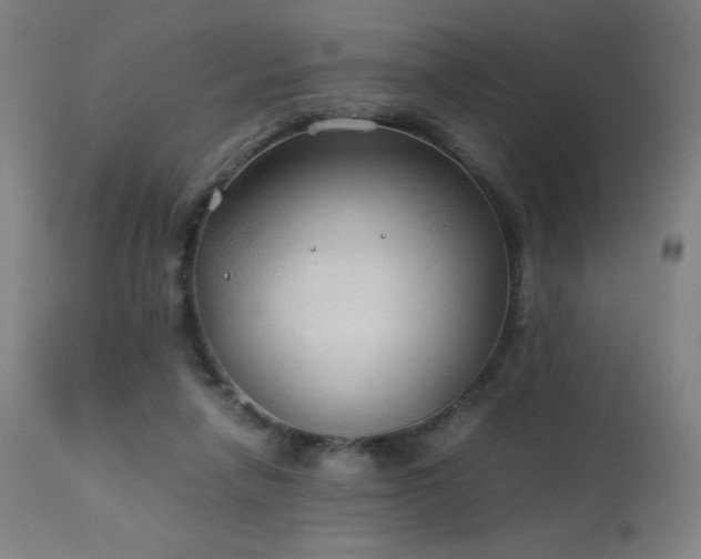 X0000114170258200910081529