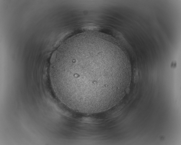 X0000114170259200910081529