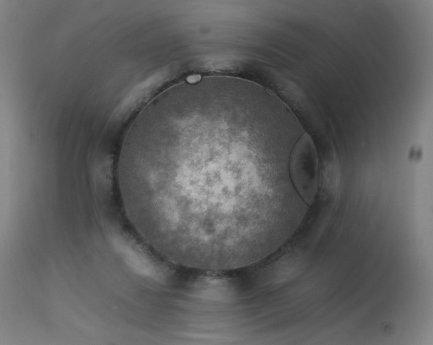 X0000114170260200910081529