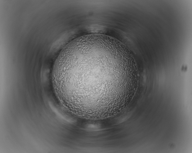 X0000114170263200910081529