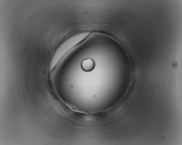 X0000114170264200910081529