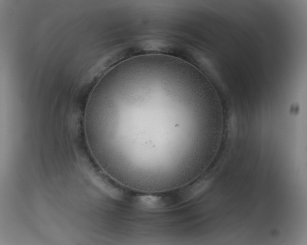 X0000114170265200910081529