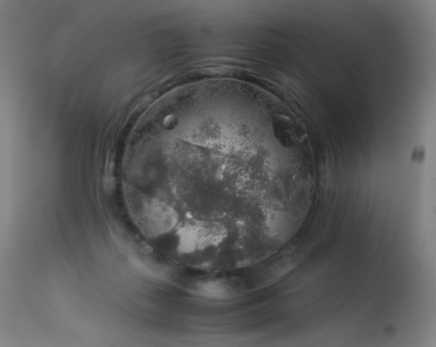 X0000114170267200910081529