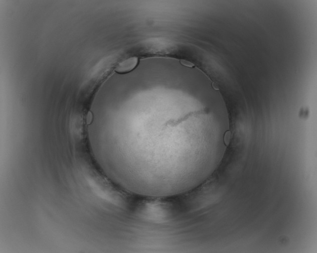X0000114170268200910081529