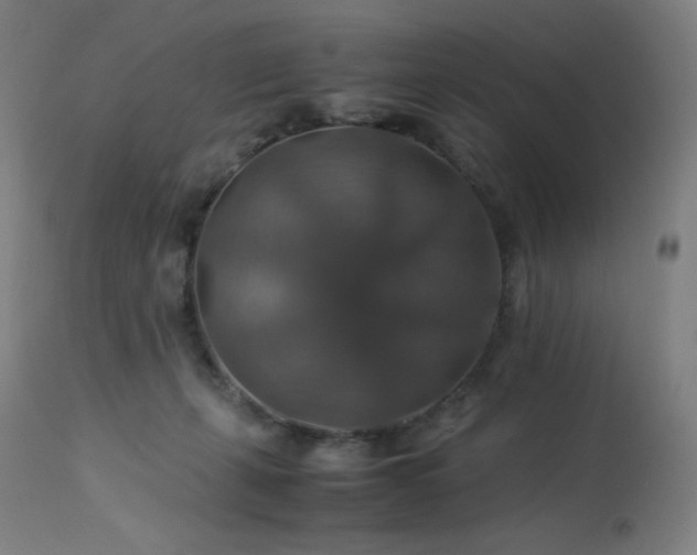 X0000114170271200910081529