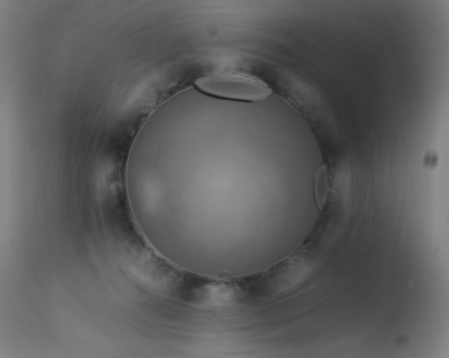 X0000114170272200910081529