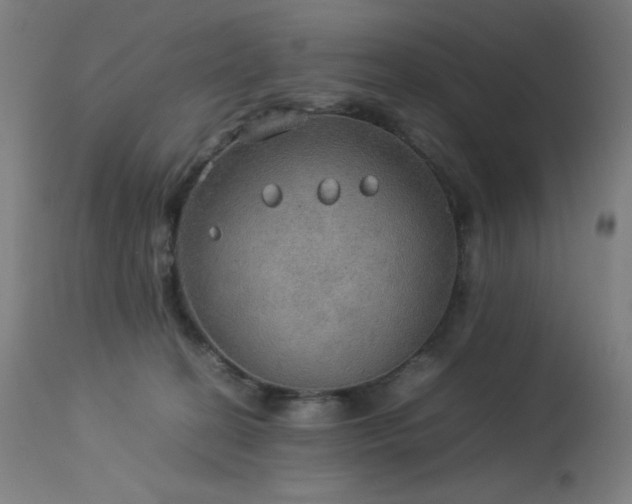 X0000114170274200910081530