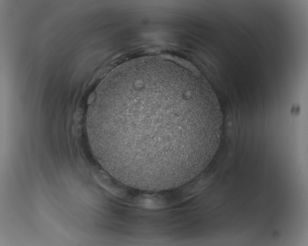 X0000114170275200910081530